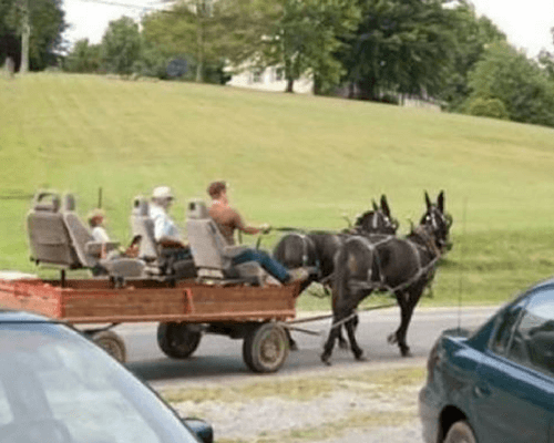 Horse carrige